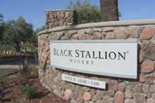 images/Black Stallion Winery